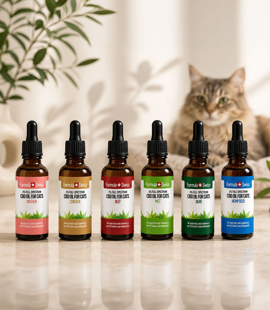 CBD Öl für Katzen