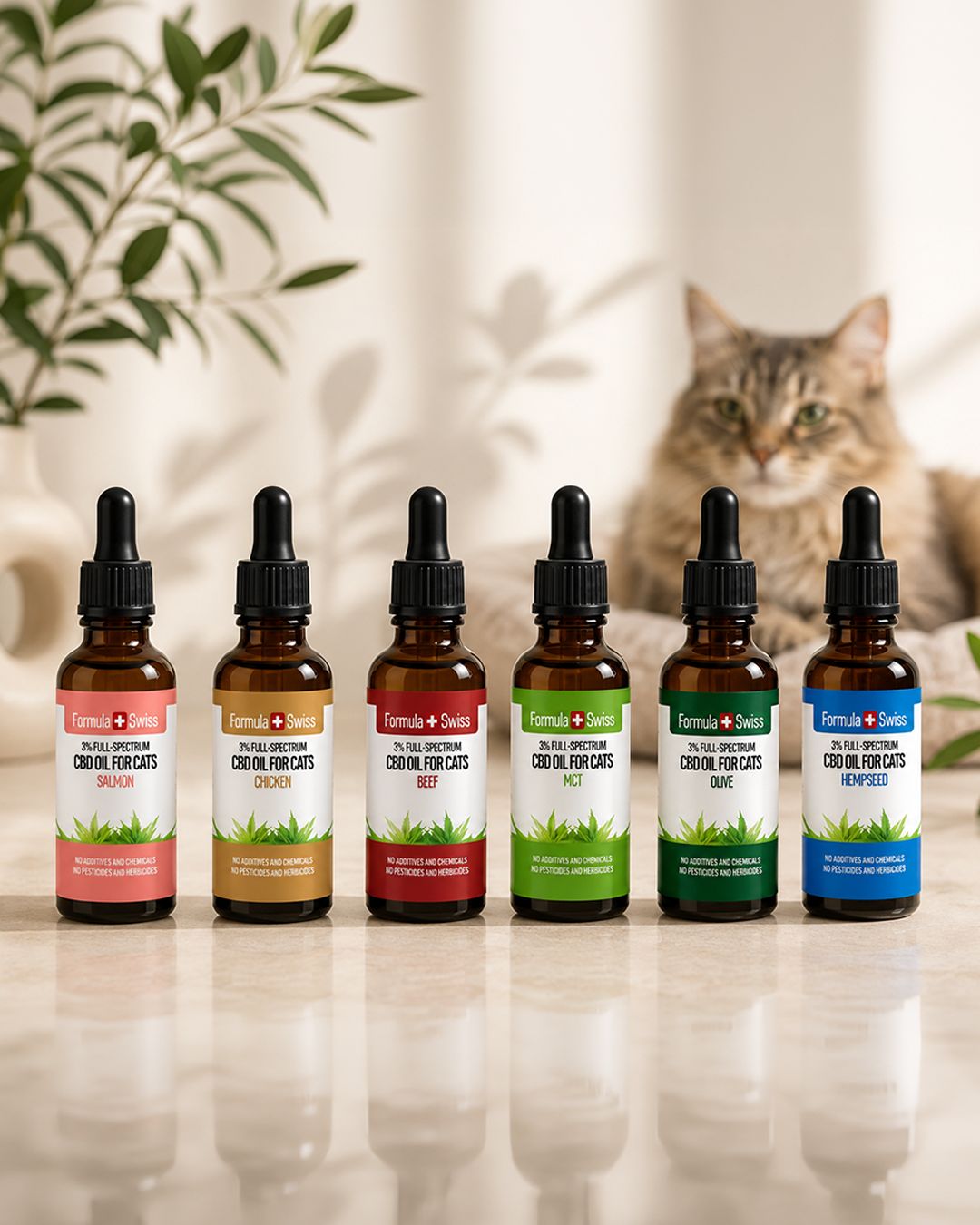 CBD Oil for Cats