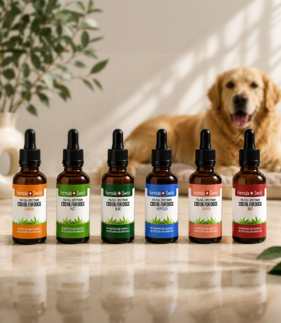 CBD Öl für Hunde