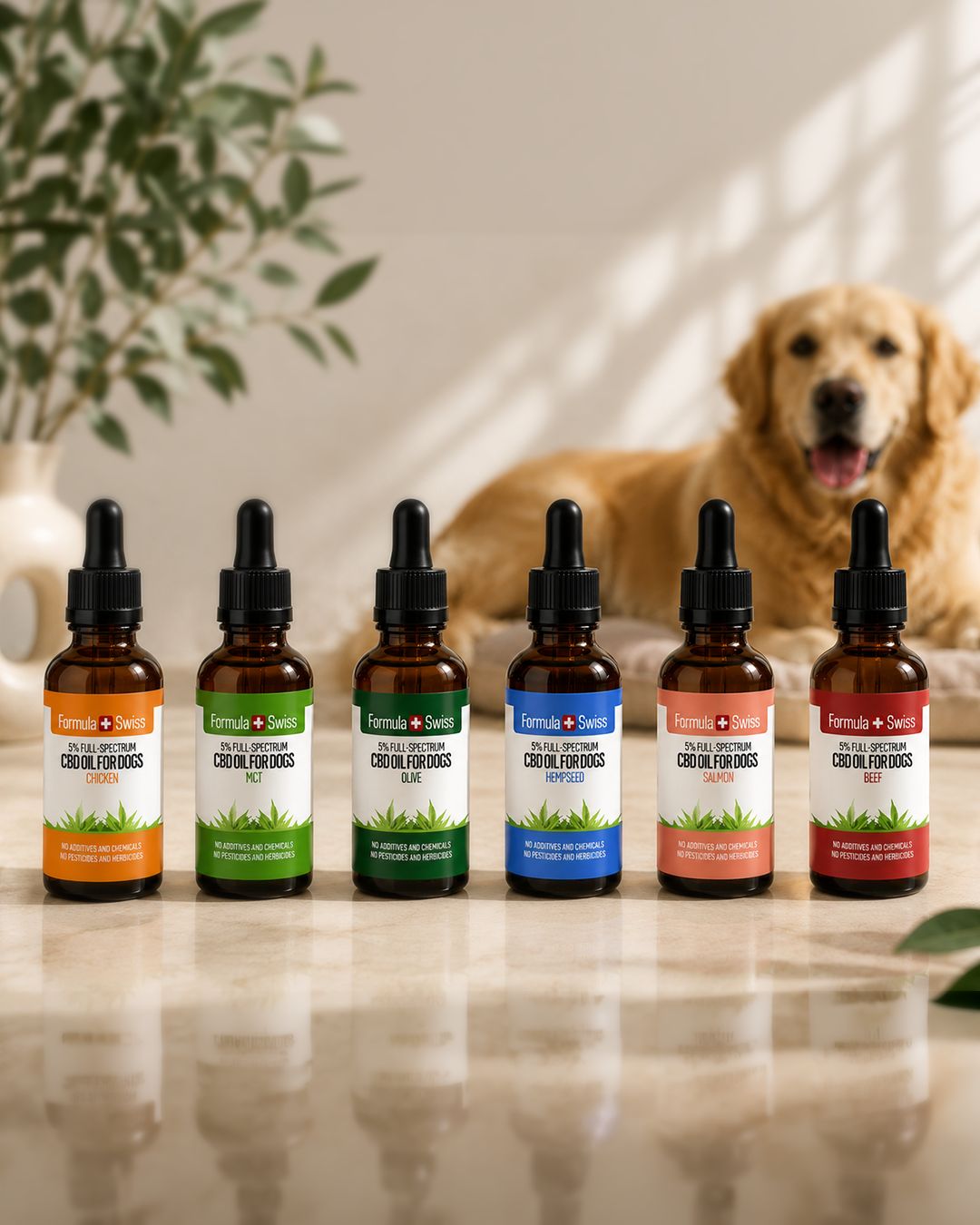 CBD Oil for Dogs