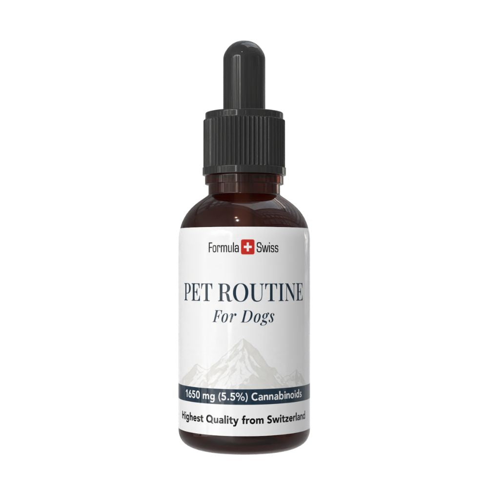 Bouteille de 'Pet Routine for Dogs' avec une étiquette blanche sur fond blanc