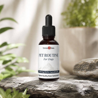 Bouteille de 'Pet Routine for Dogs' sur une surface en pierre avec des plantes en arrière-plan